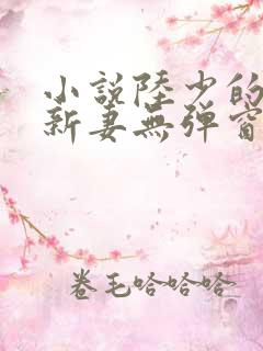 小说陆少的暖婚新妻无弹窗