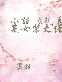 小说 《我真不是女装大佬》
