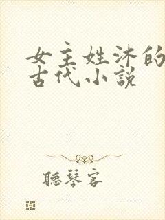 女主姓沐的重生古代小说