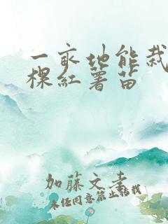 一亩地能栽多少棵红薯苗