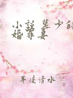 小说 慕少的隐婚罪妻