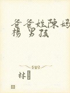 爸爸姓陈妈妈姓杨 男孩