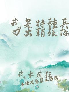 我是特种兵之利刃出鞘张总是谁