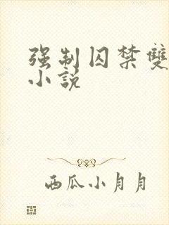 强制囚禁双男主小说