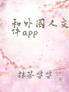 和外国人交友软件app