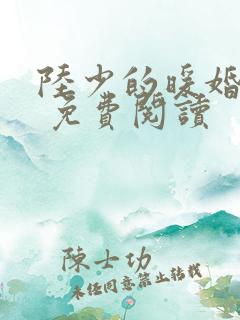 陆少的暖婚新妻 免费阅读