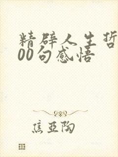 精辟人生哲理100句感悟