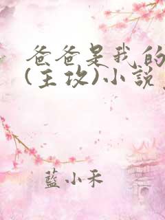 爸爸是我的老婆(主攻)小说免费阅读