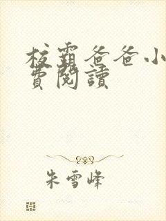 校霸爸爸小说免费阅读