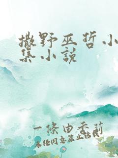 撒野巫哲小说全集小说