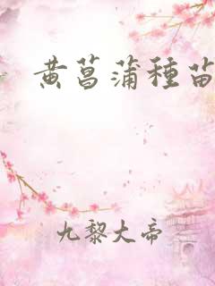 黄菖蒲种苗哪有