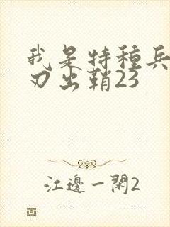 我是特种兵之利刃出鞘23