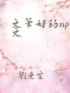 文笔好的np辣文