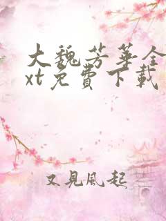 大魏芳华全本txt免费下载
