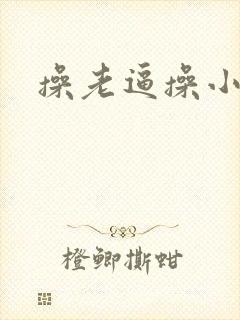 操老逼操小逼