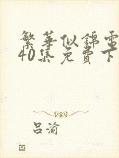 繁华似锦电视剧40集免费下载