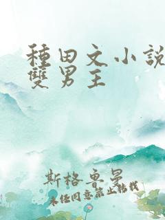 种田文小说推荐双男主