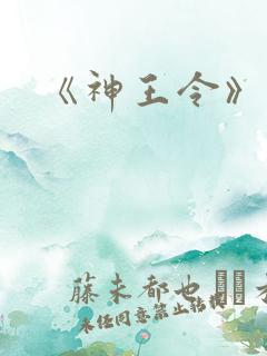 《神王令》小说