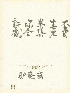 许你半生不见短剧全集免费播放