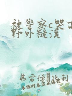 被警察c哭高h野外糙汉
