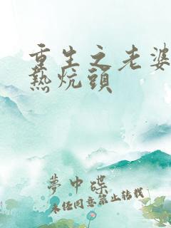 重生之老婆孩子热炕头