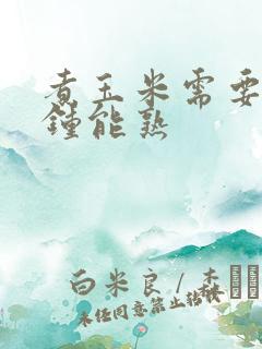 煮玉米需要几分钟能熟