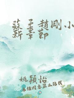 苏柔赵刚小说最新章节