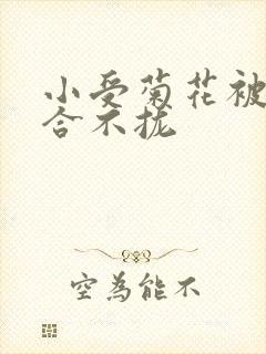 小受菊花被双龙合不拢