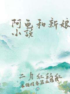 阿龟和新娘案件小说