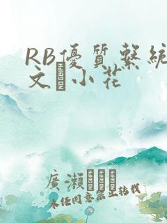 RB优质系统全文寀小花