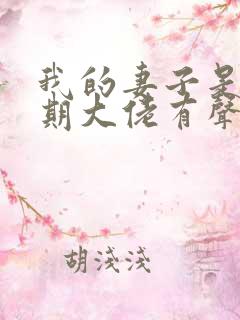 我的妻子是大乘期大佬有声书