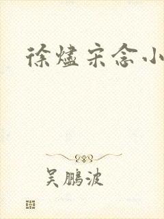 徐烬宋念小说