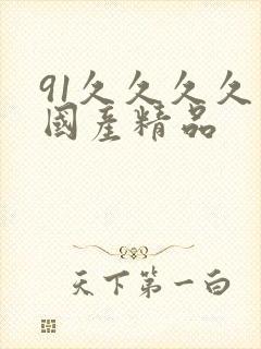 91久久久久久国产精品