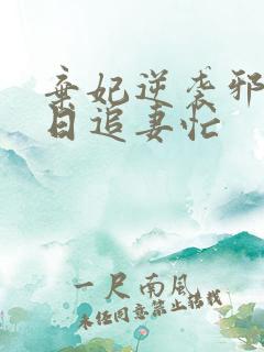 弃妃逆袭邪王日日追妻忙