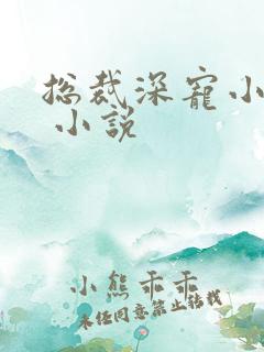 总裁深宠小甜妻 小说