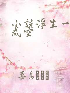小说浮生一梦爱成空