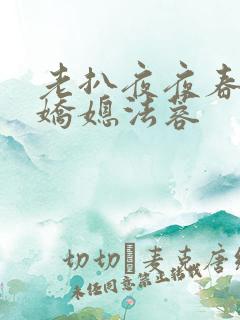 老扒夜夜春宵伴娇媳法蓉