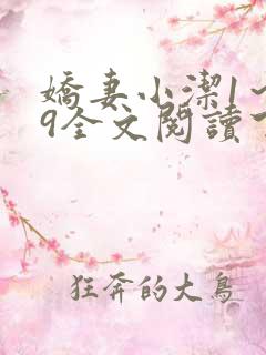 娇妻小洁1~29全文阅读下载