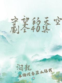 守望的天空电视剧全40集
