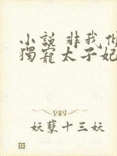 小说 非我倾城独宠太子妃