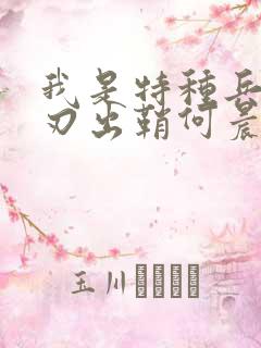 我是特种兵之利刃出鞘何晨光爷爷