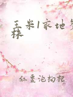 玉米1亩地多少株