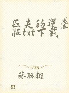 匹夫的逆袭精校版txt下载