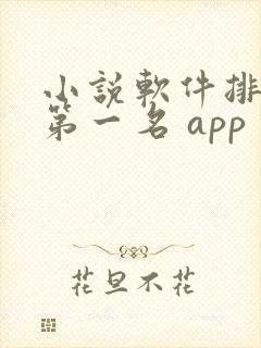 小说软件排行榜第一名 app