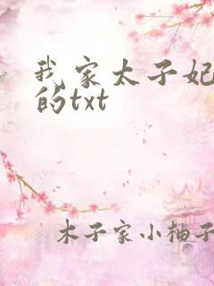 我家太子妃超凶的txt