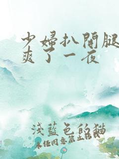 少妇扒开腿让我爽了一夜