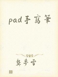 pad手写笔