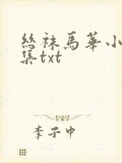 丝袜马华小说合集txt