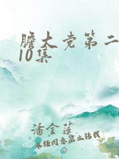 胆大党第二季第10集