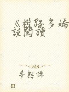《权路多娇》小说阅读